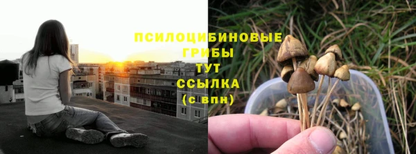 стафф Осинники