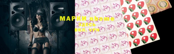 стафф Осинники