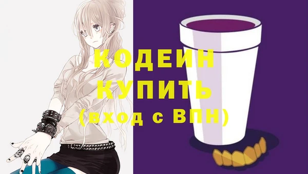 стафф Осинники