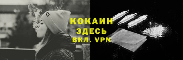 стафф Осинники