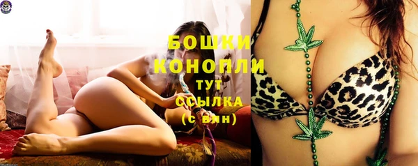 стафф Осинники
