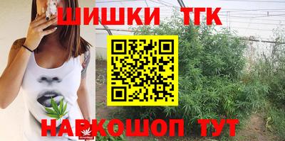 Альфа ПВП Можга