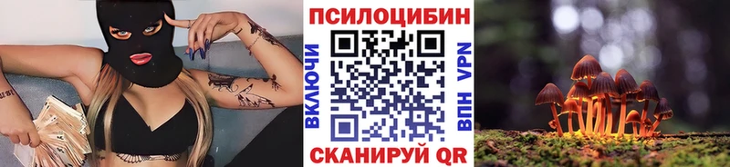 продажа наркотиков  Прокопьевск  Псилоцибиновые грибы прущие грибы 