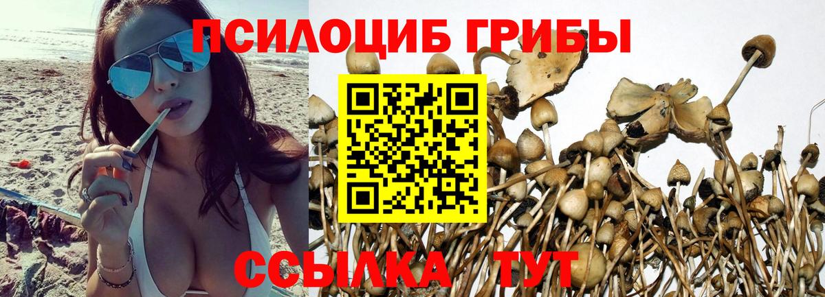 Галлюциногенные грибы GOLDEN TEACHER  Вход с VPN  Прокопьевск 